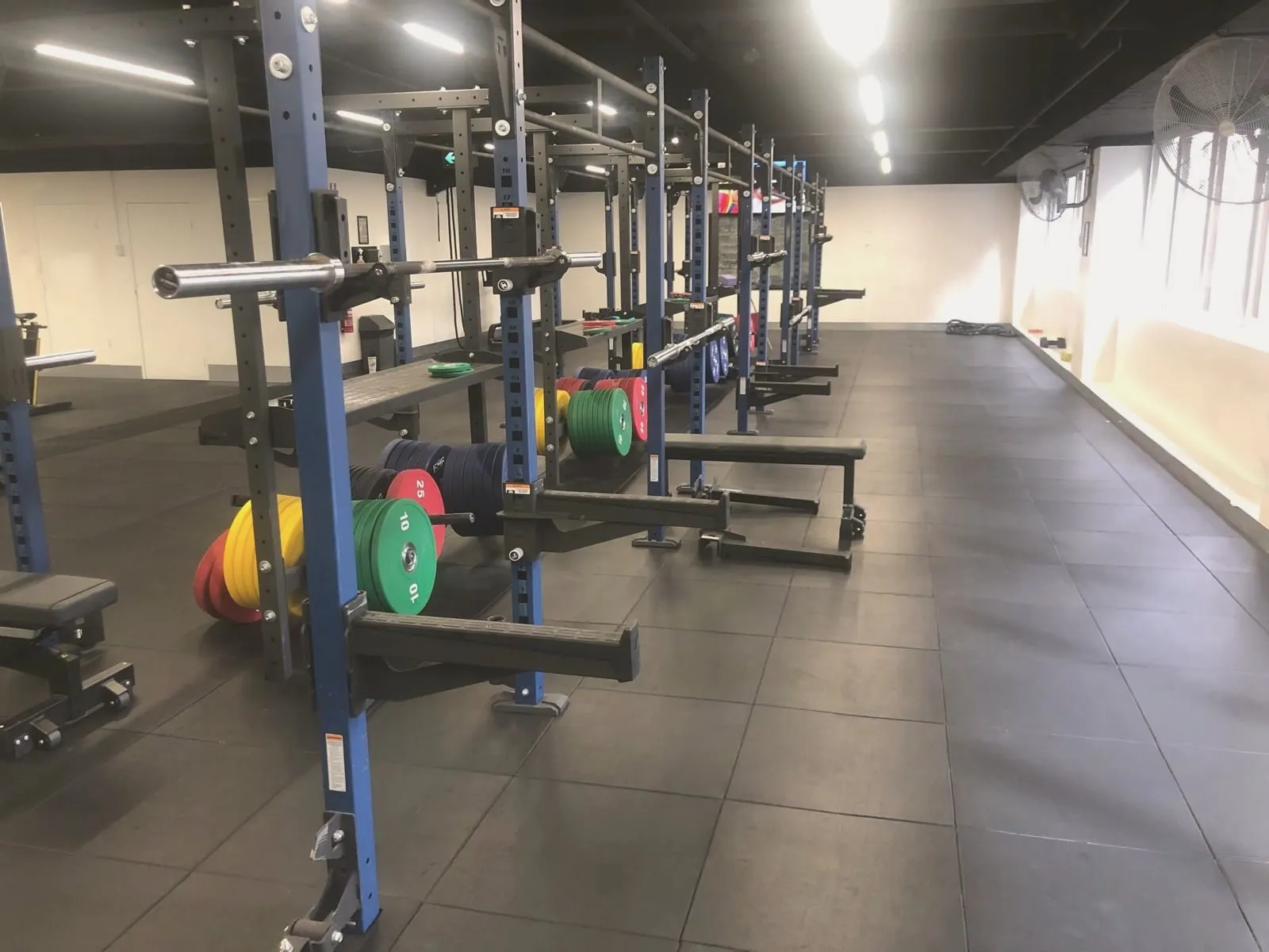 A long room with a wall-mounted folding rig down one side: blue uprights, a chrome barbell racked across the nearest pair, colour bumper plates stacked on the pegs below, and an empty rubber floor running to the windows at the far end.